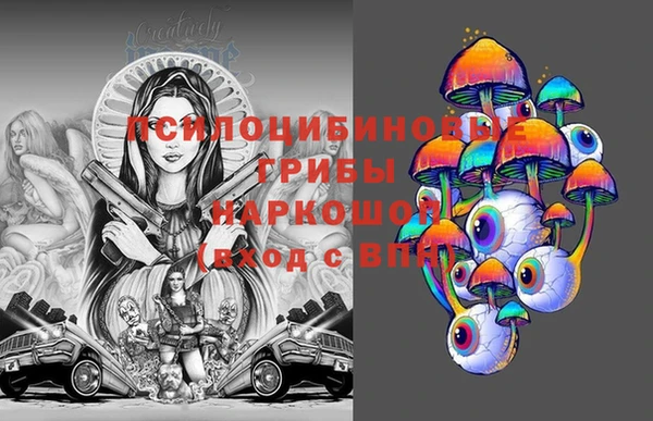 мдпв Бронницы