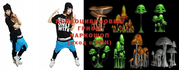 мдпв Бронницы