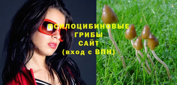 MDMA Premium VHQ Бородино