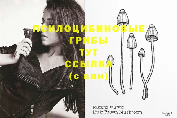 MDMA Premium VHQ Бородино