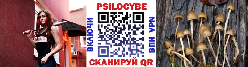 Галлюциногенные грибы Cubensis Сковородино